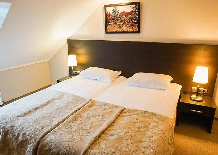 Otel Vitapark Poliana Polyana (Transcarpathia)